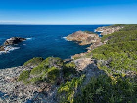 Kangarutha Walking Track