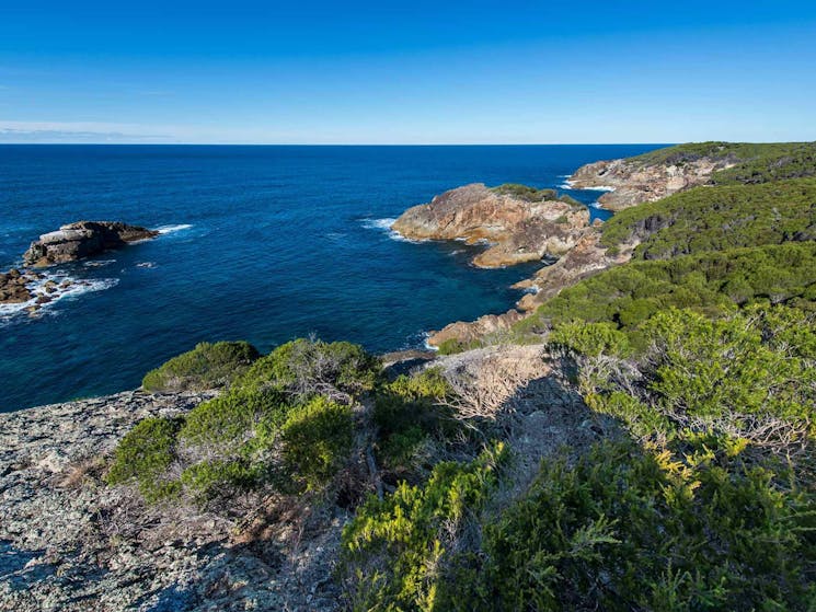 Kangarutha walking track, Bournda National Park. Photo: John Spencer