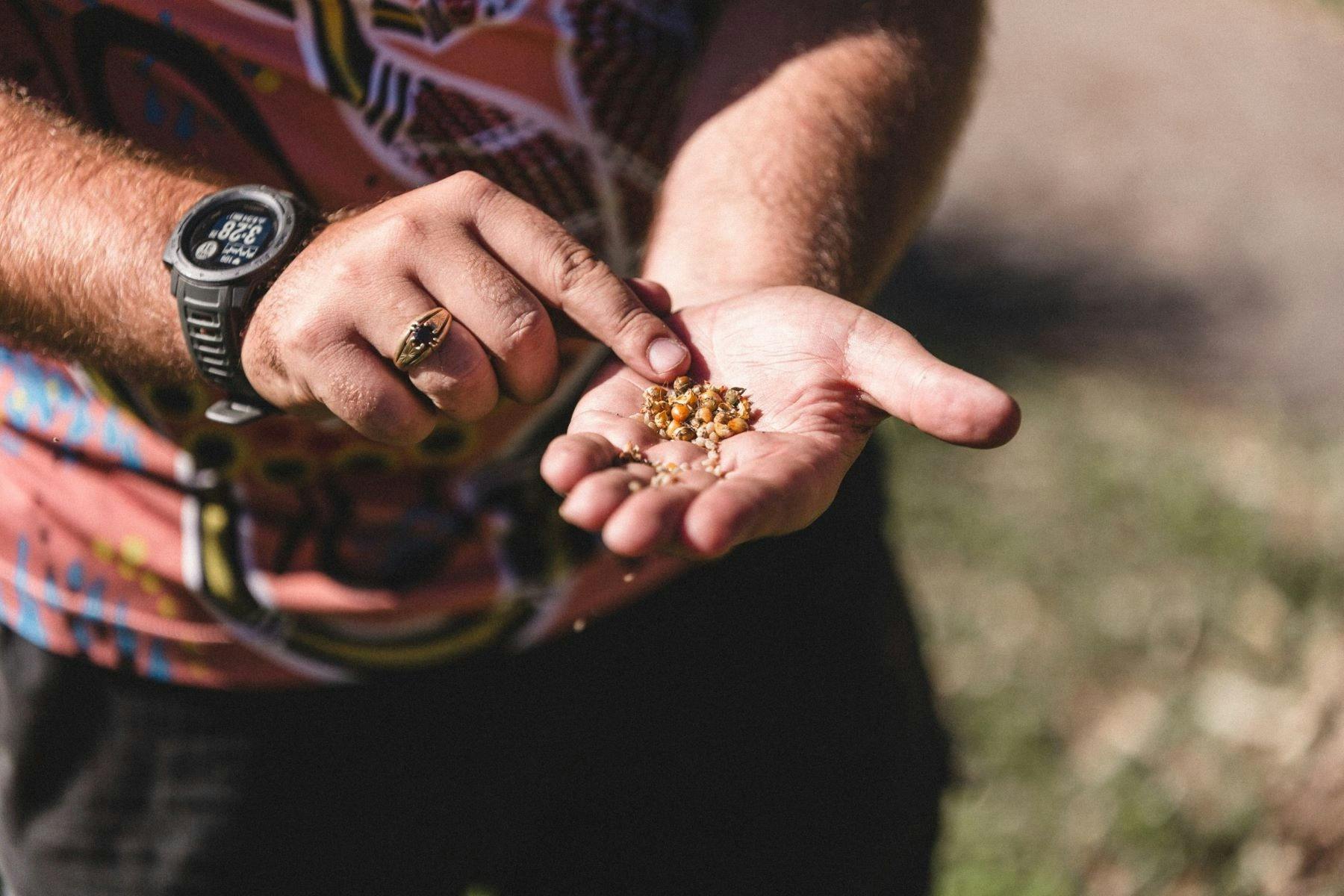 Gumaraa's Traditional Bush-Tucker/Medicine Walk