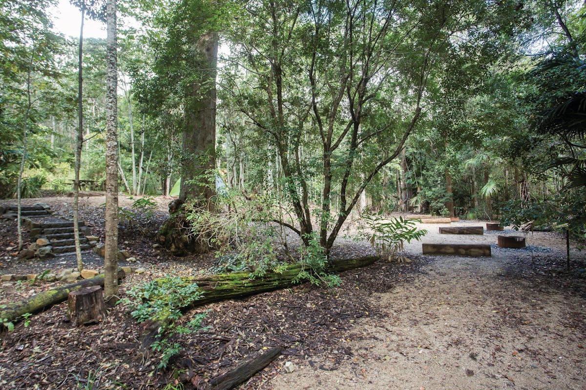 Eungella National Park camping