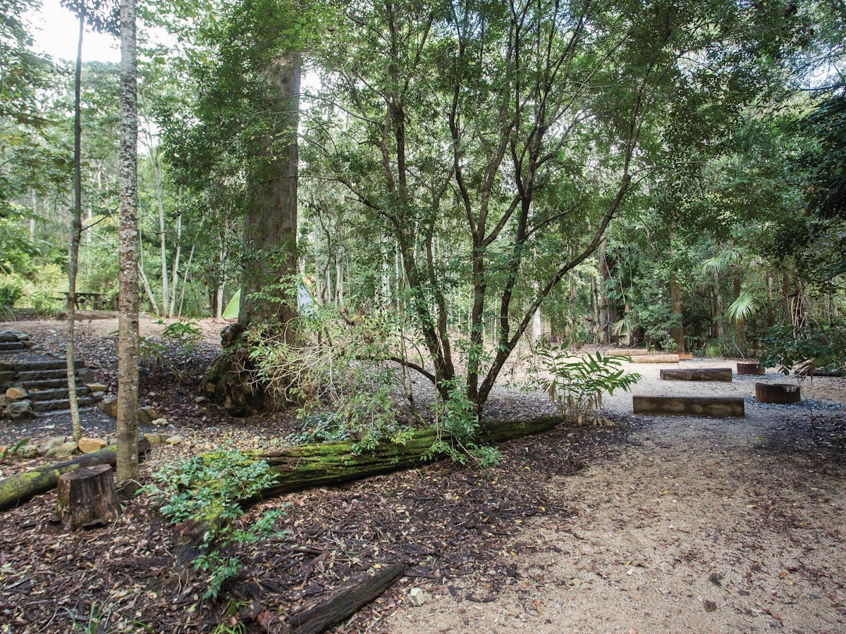 Shady camp site at Eungella National Park Shady camp site at Eungella National Park