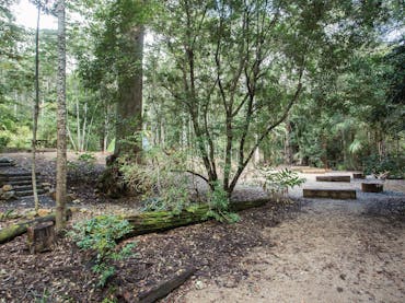 Shady camp site at Eungella National Park