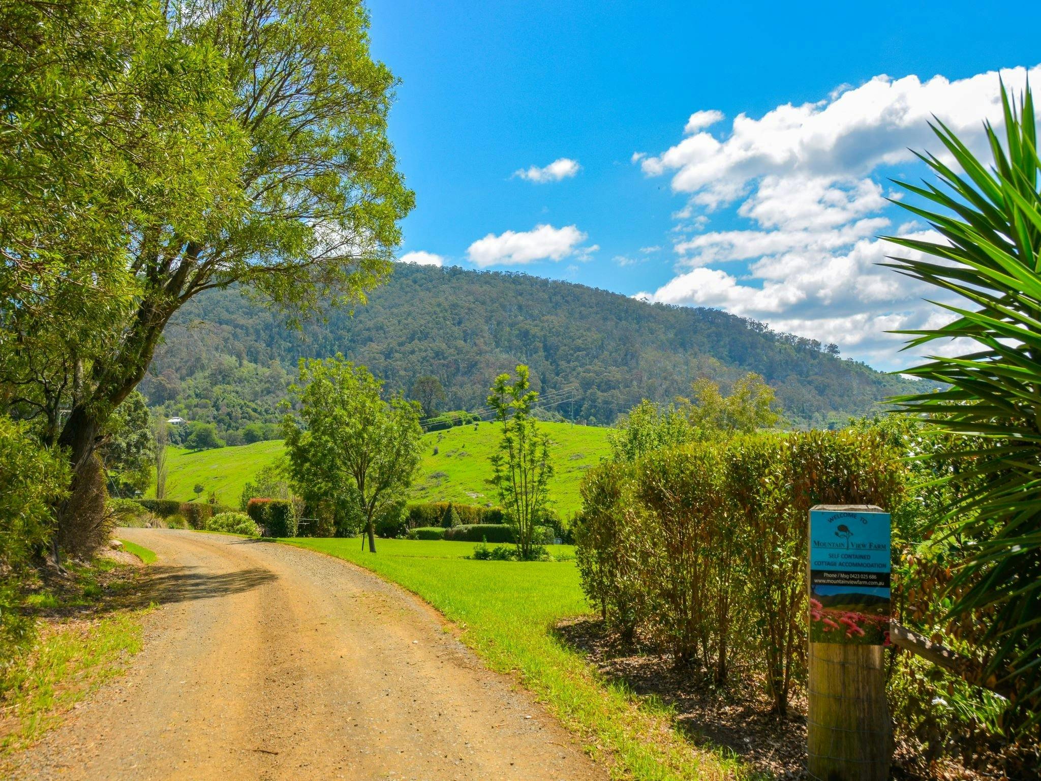 Mountain View Farm entrance and first views to Gulaga