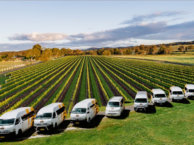 Mudgee Wine Explorer Tours