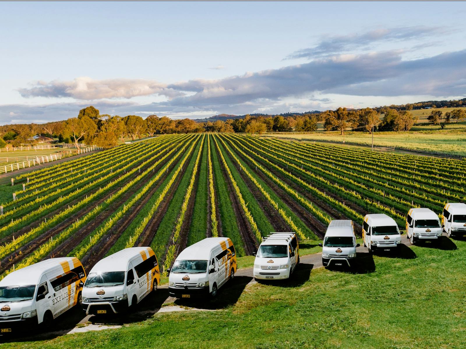 8 Tour buses lined up in front of a winery