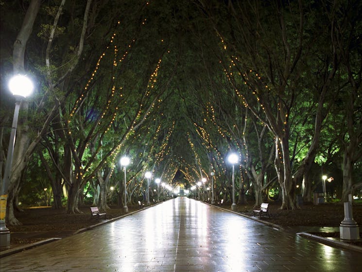 Fairy lights lining the trees in Hyde Park at night time