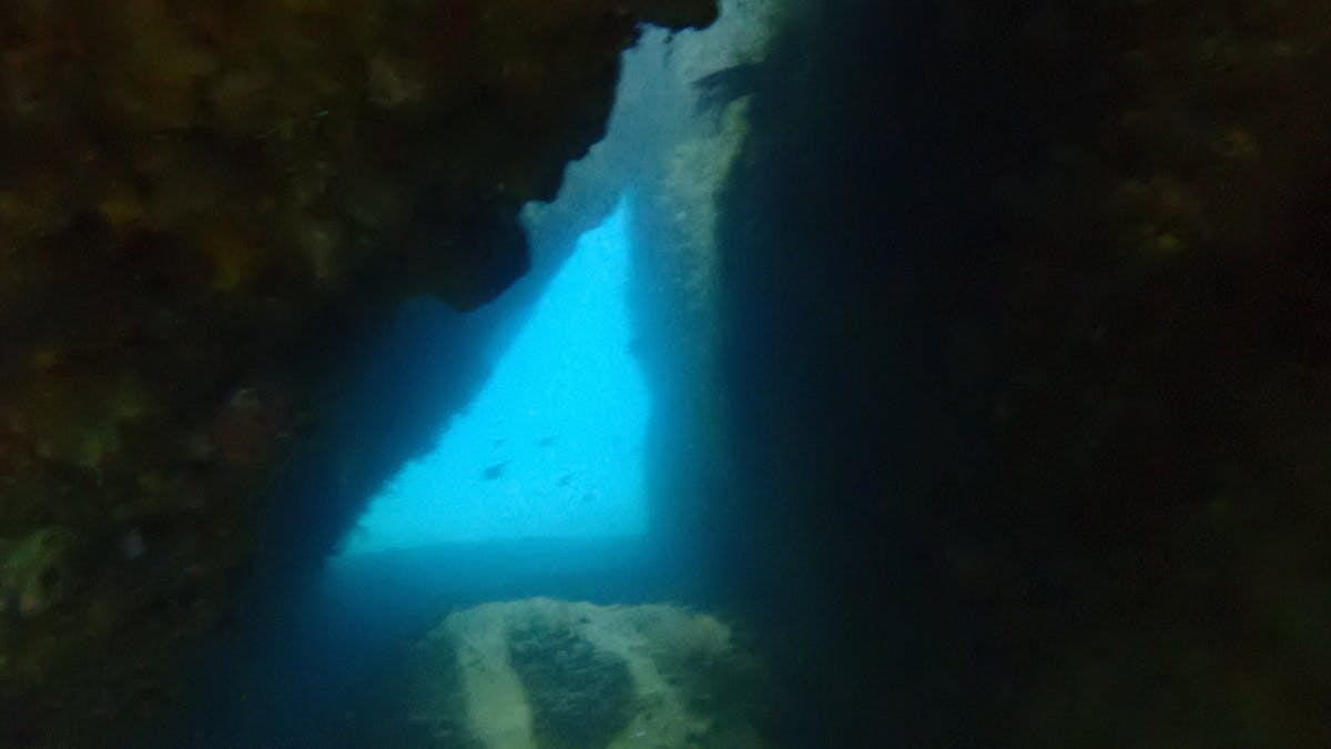 Brisbane Dive Academy - Fun Dives