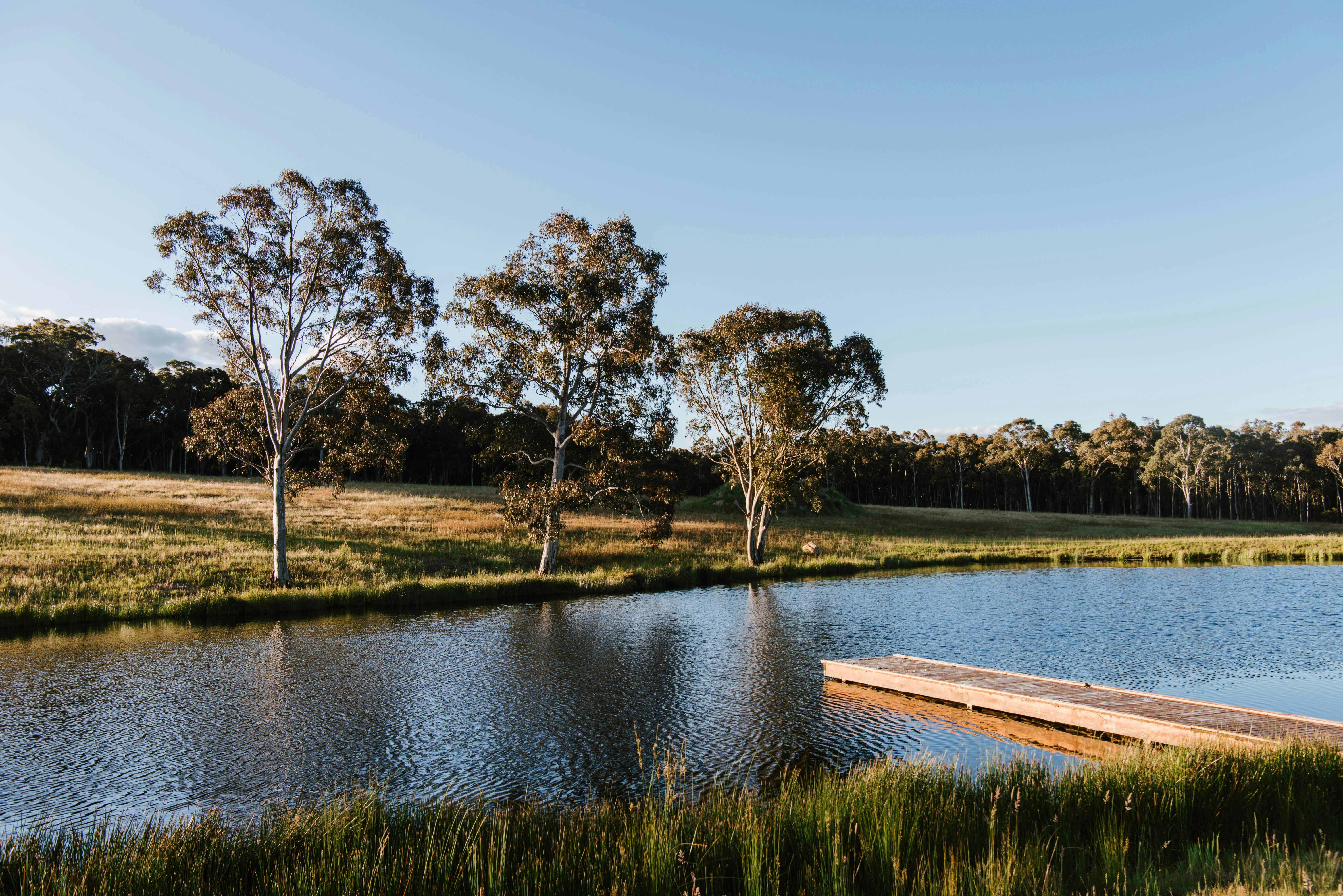 부두/공동 구역