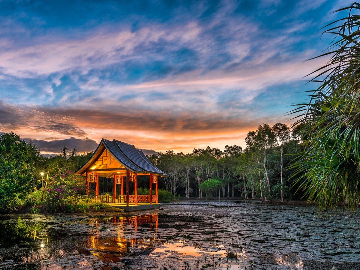 cairns botanic gardens tours