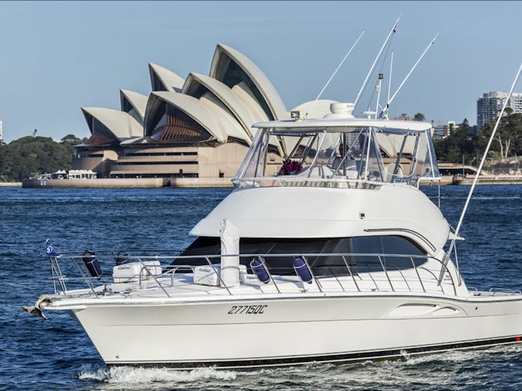 Sydney Yacht Club Luxury Boat Hire