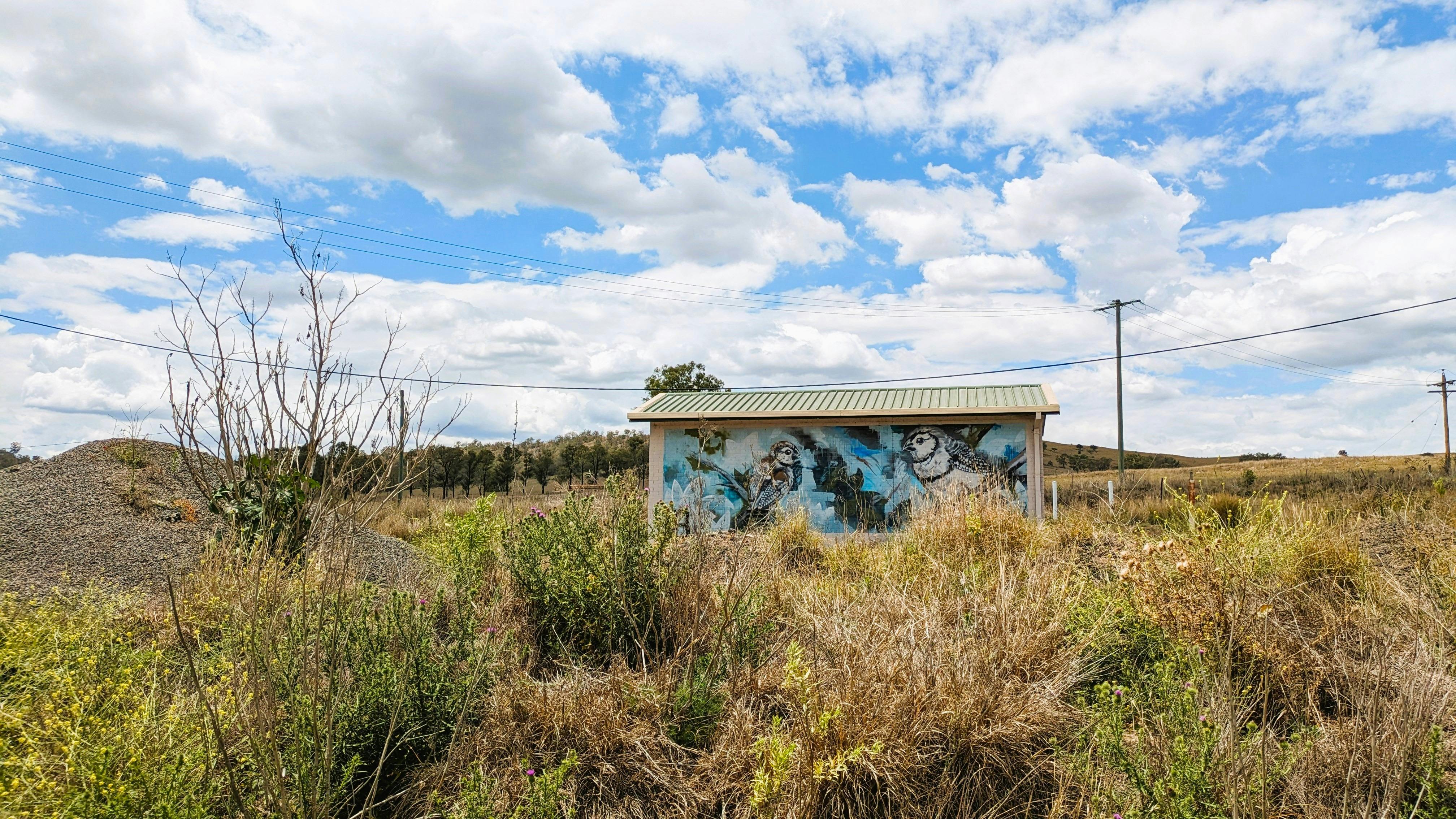 Dartbrook Signal Station Mural
