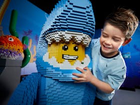 Lego Shark with boy