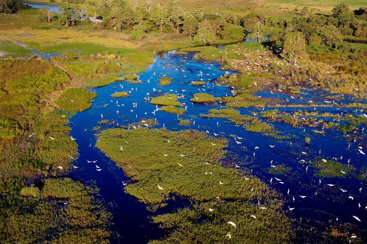 Aurukun wetlands