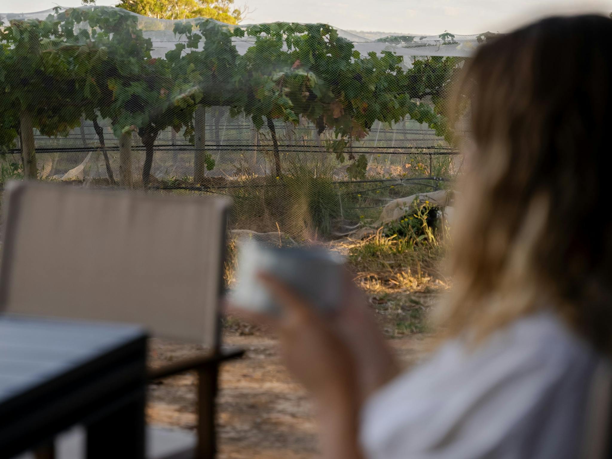 Outdoor views from CABN Melissa, McLaren Vale