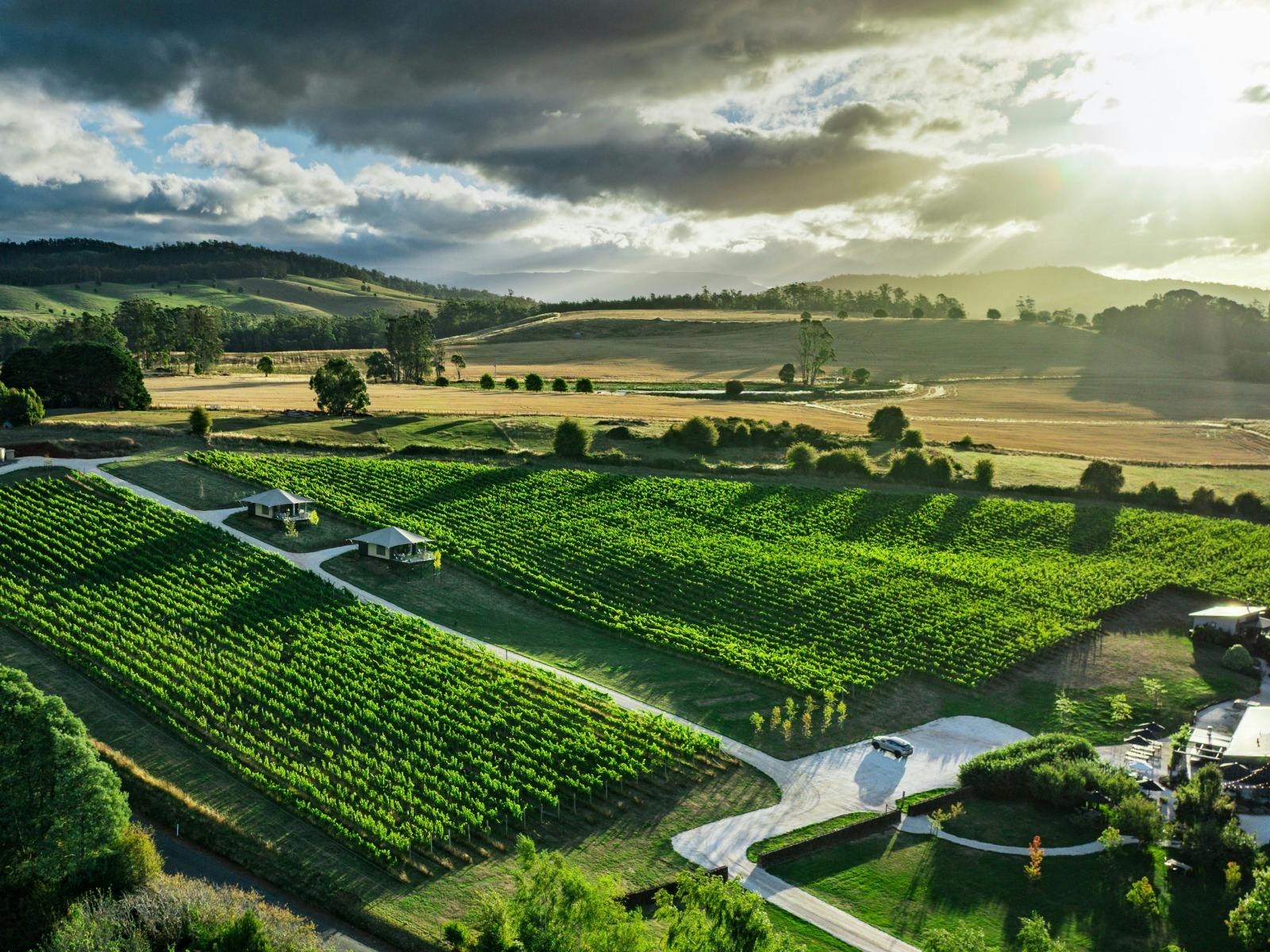Glamping in the Vines