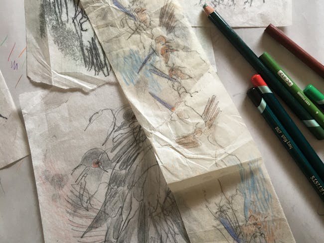 trace monotype of birds on rice paper with coloured pencils
