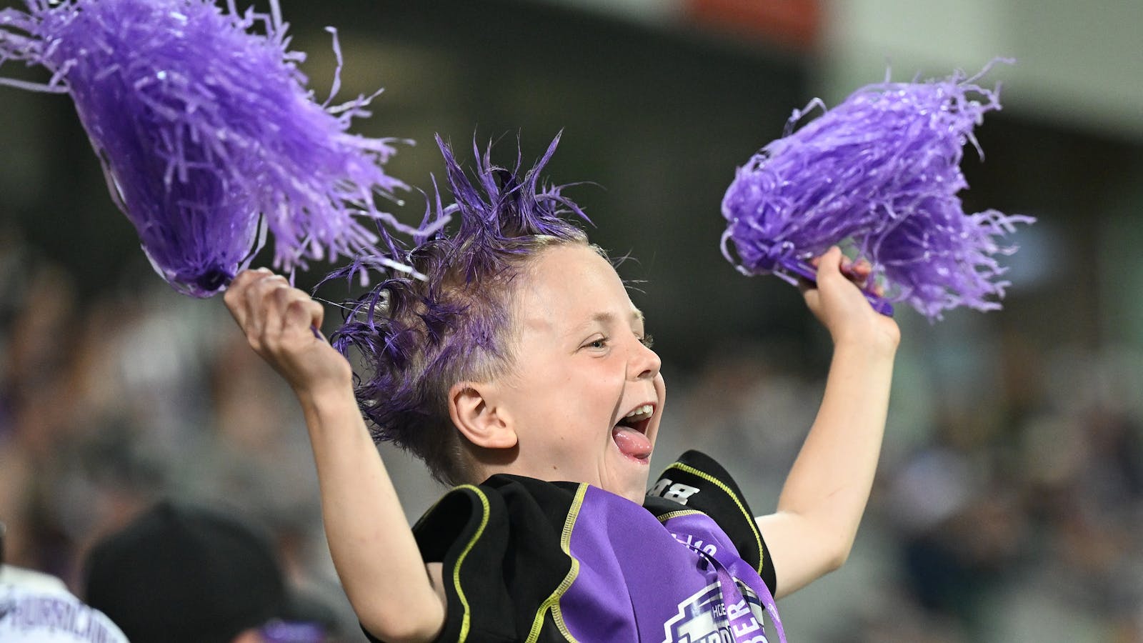 Hobart Hurricanes Fan