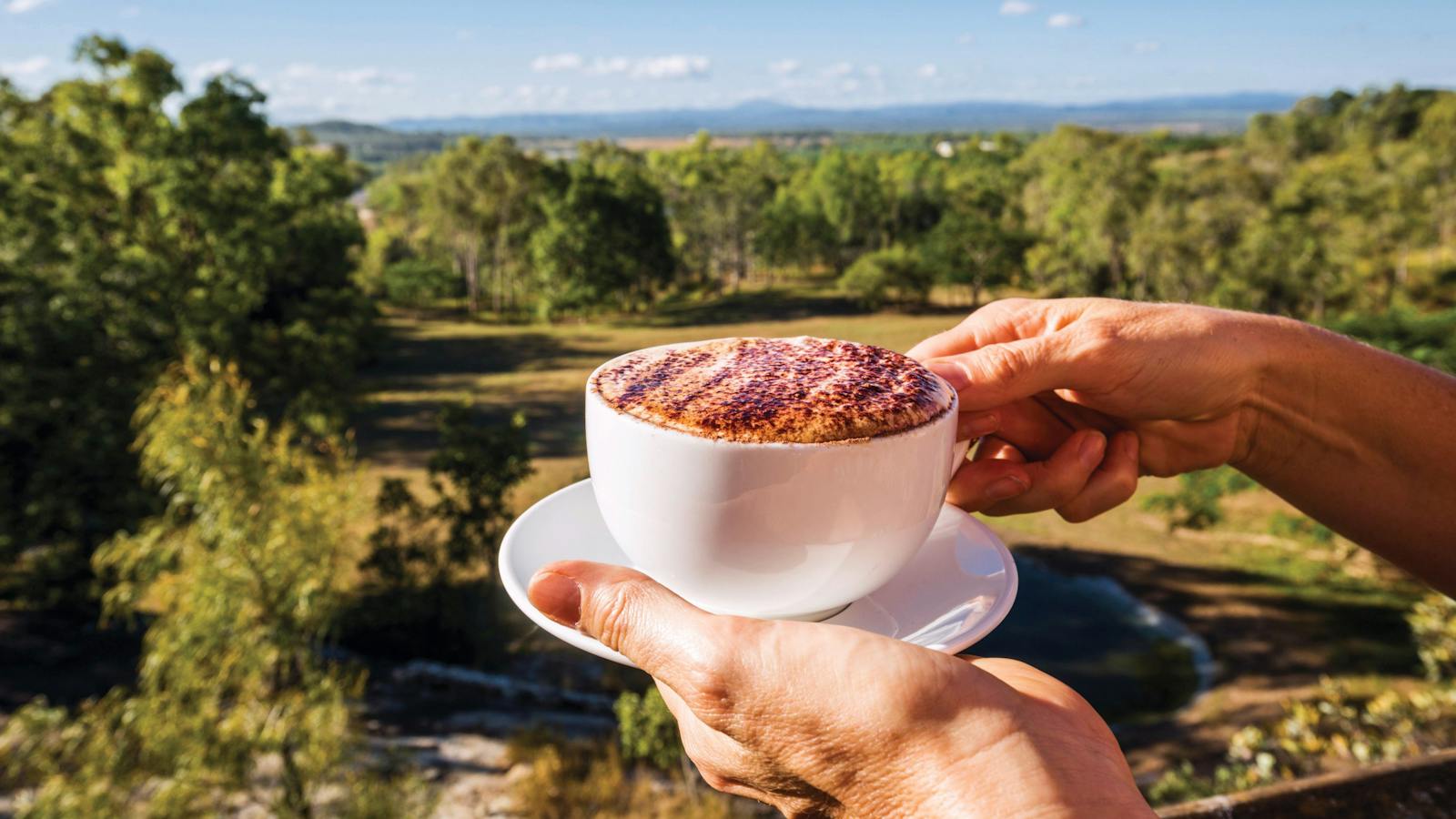 Coffee of the Atherton Tablelands