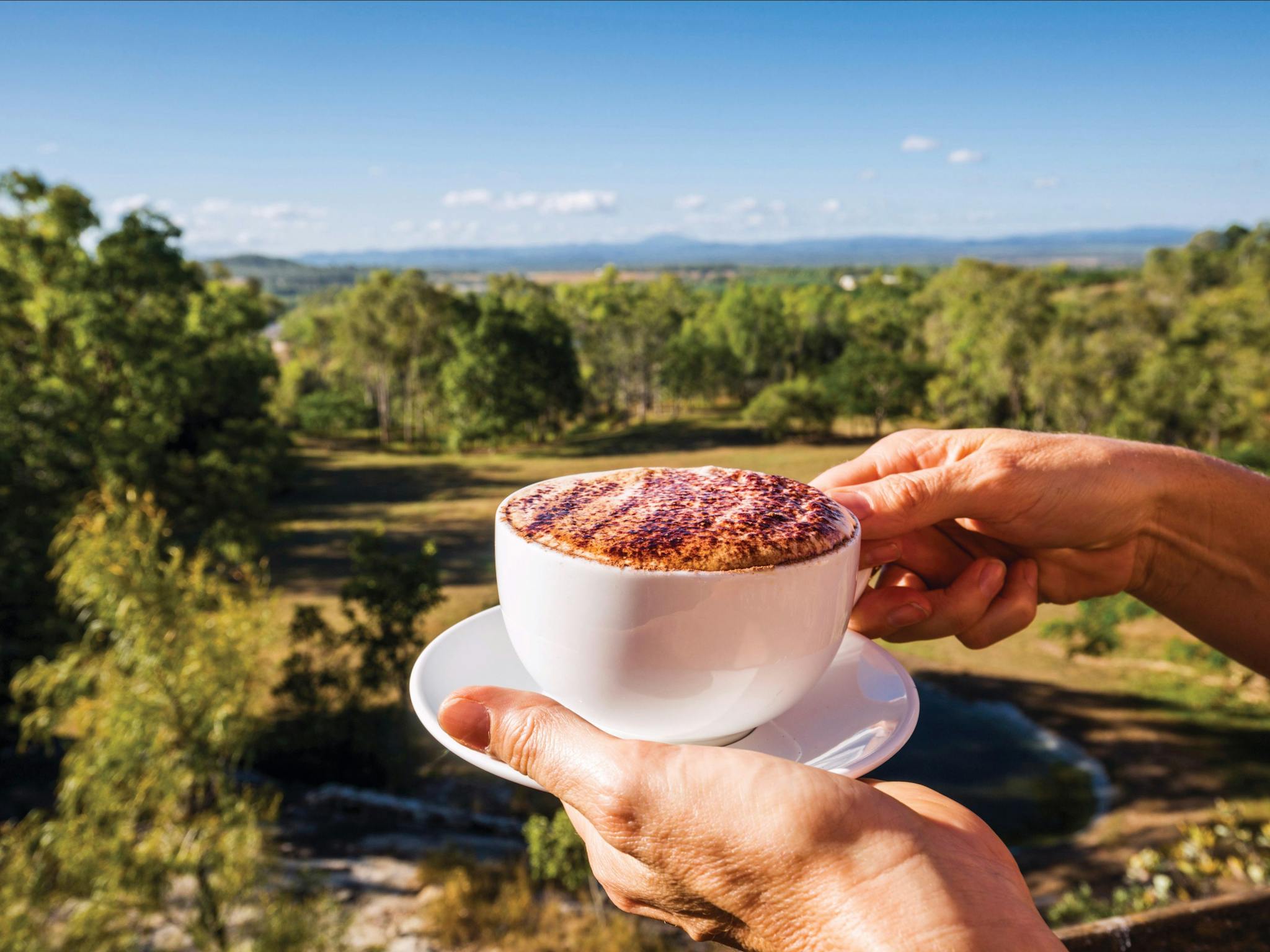 Coffee of the Atherton Tablelands