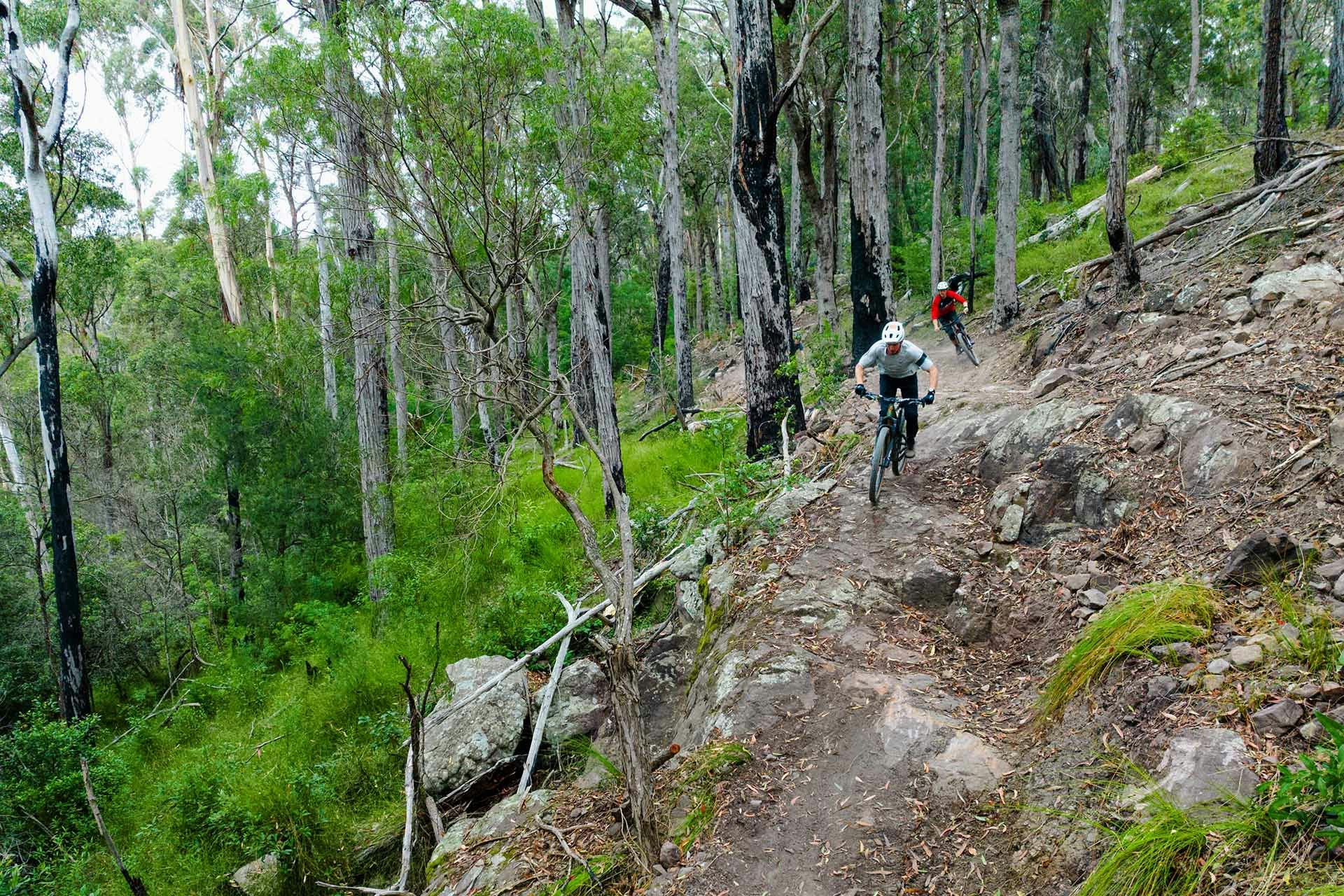 Gravity Eden Mountain Bike Park, Sapphire Coast NSW, mountain biking, MTB, cycling,  South Coast