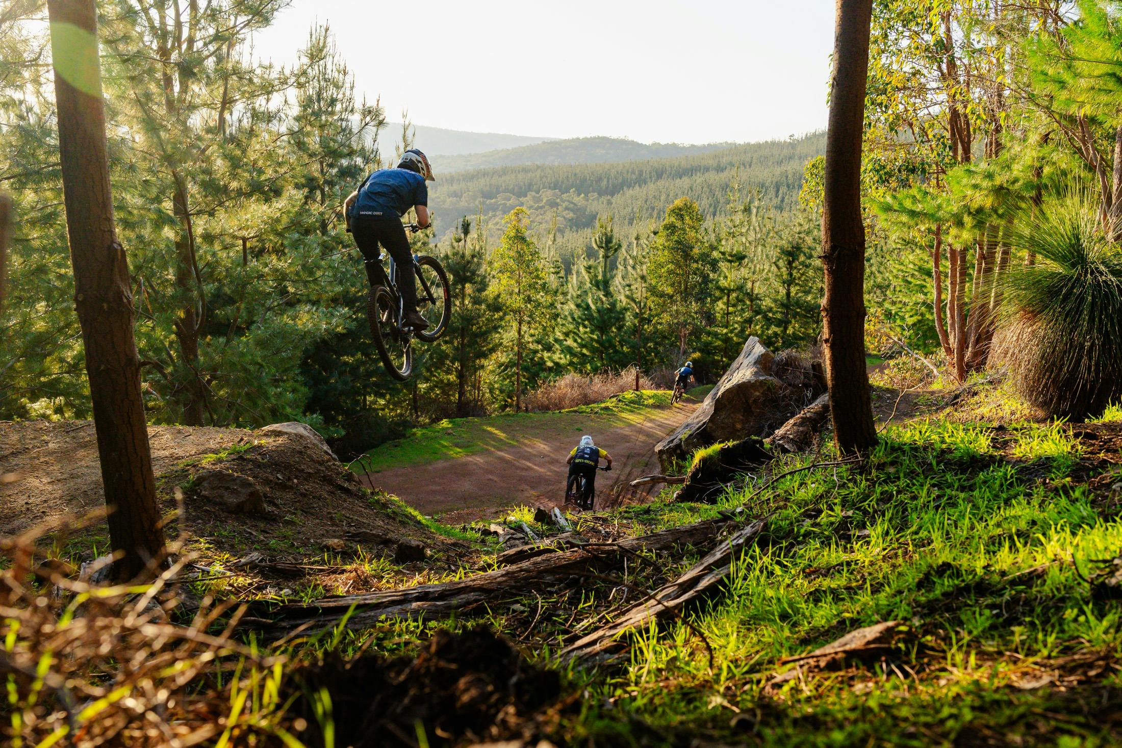 Blue and black trails with double-black features at Toms Crossing Mountain Bike Trails, Dwellingup