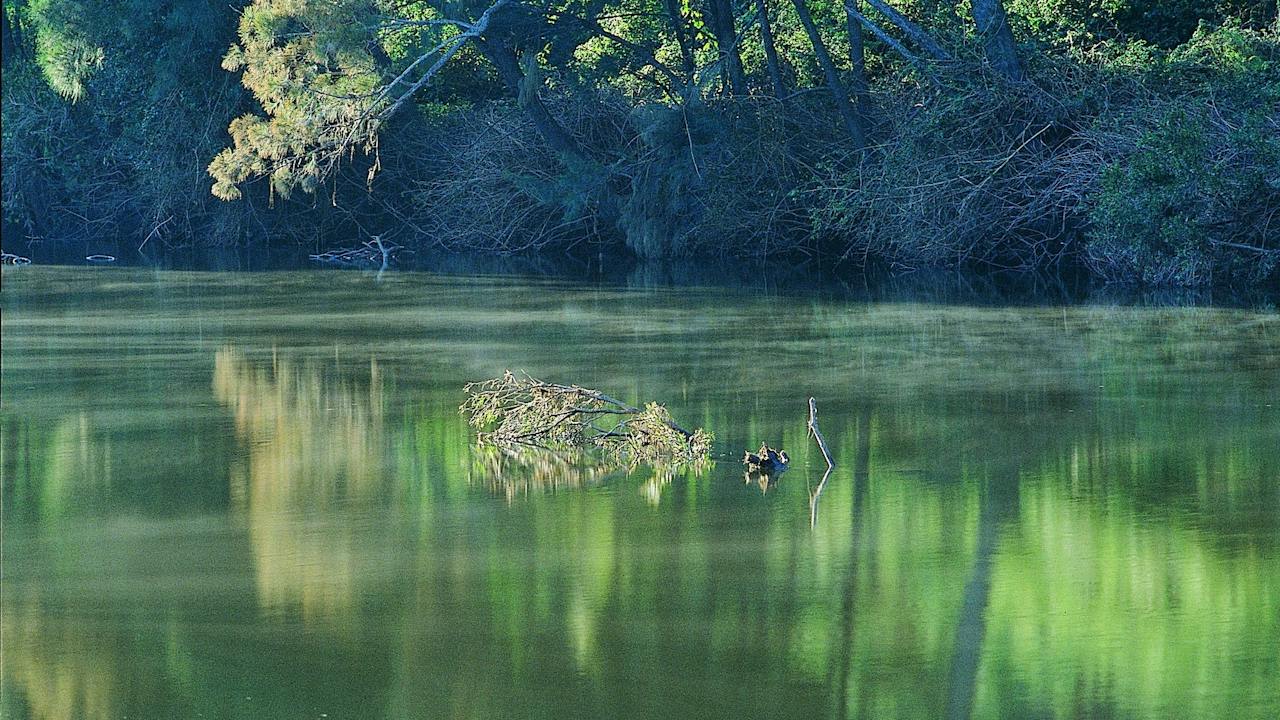 Peaceful Emu Creek, Benarkin State Forest