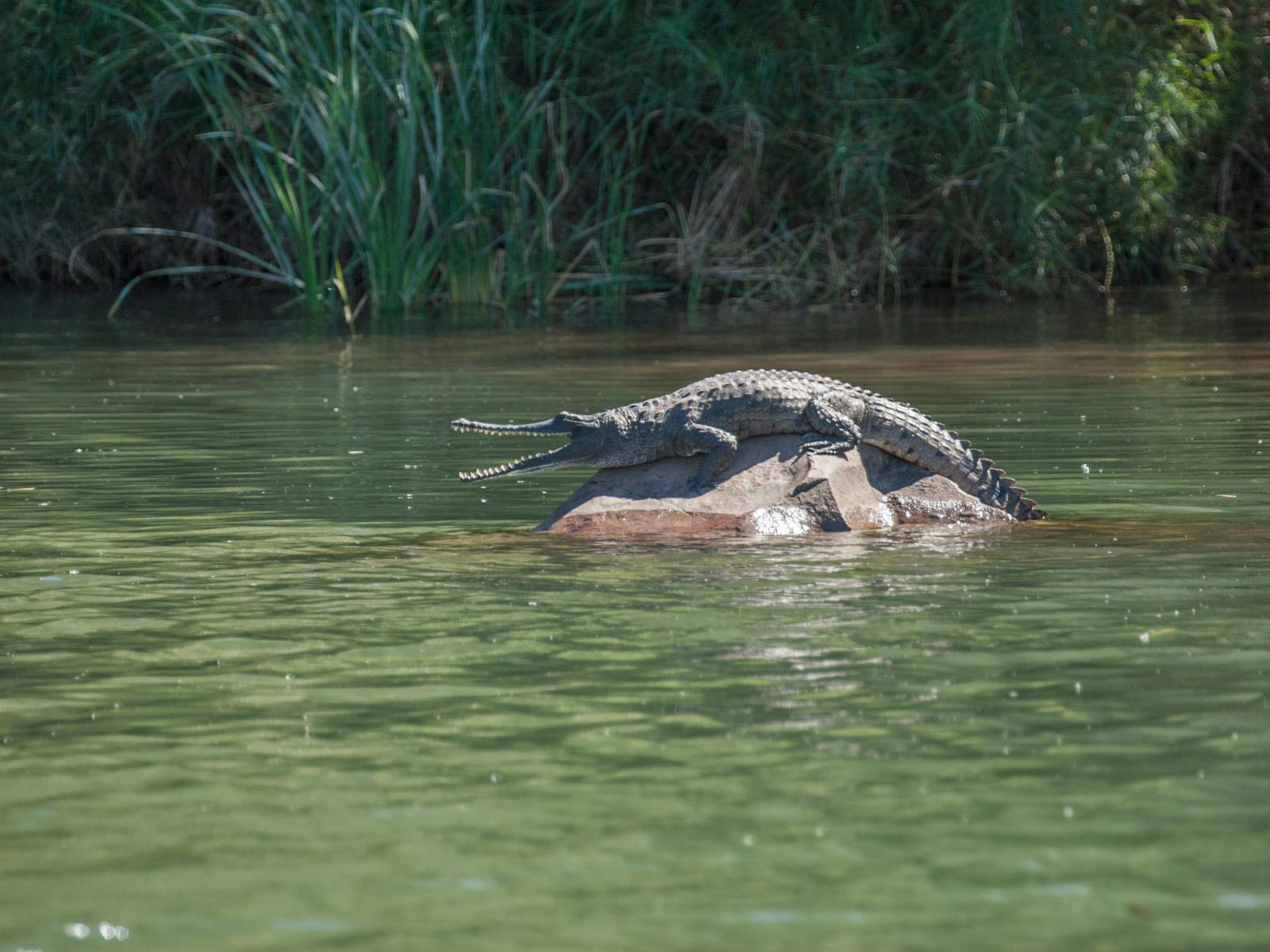 Triple J Tours, Kununurra, Western Australia