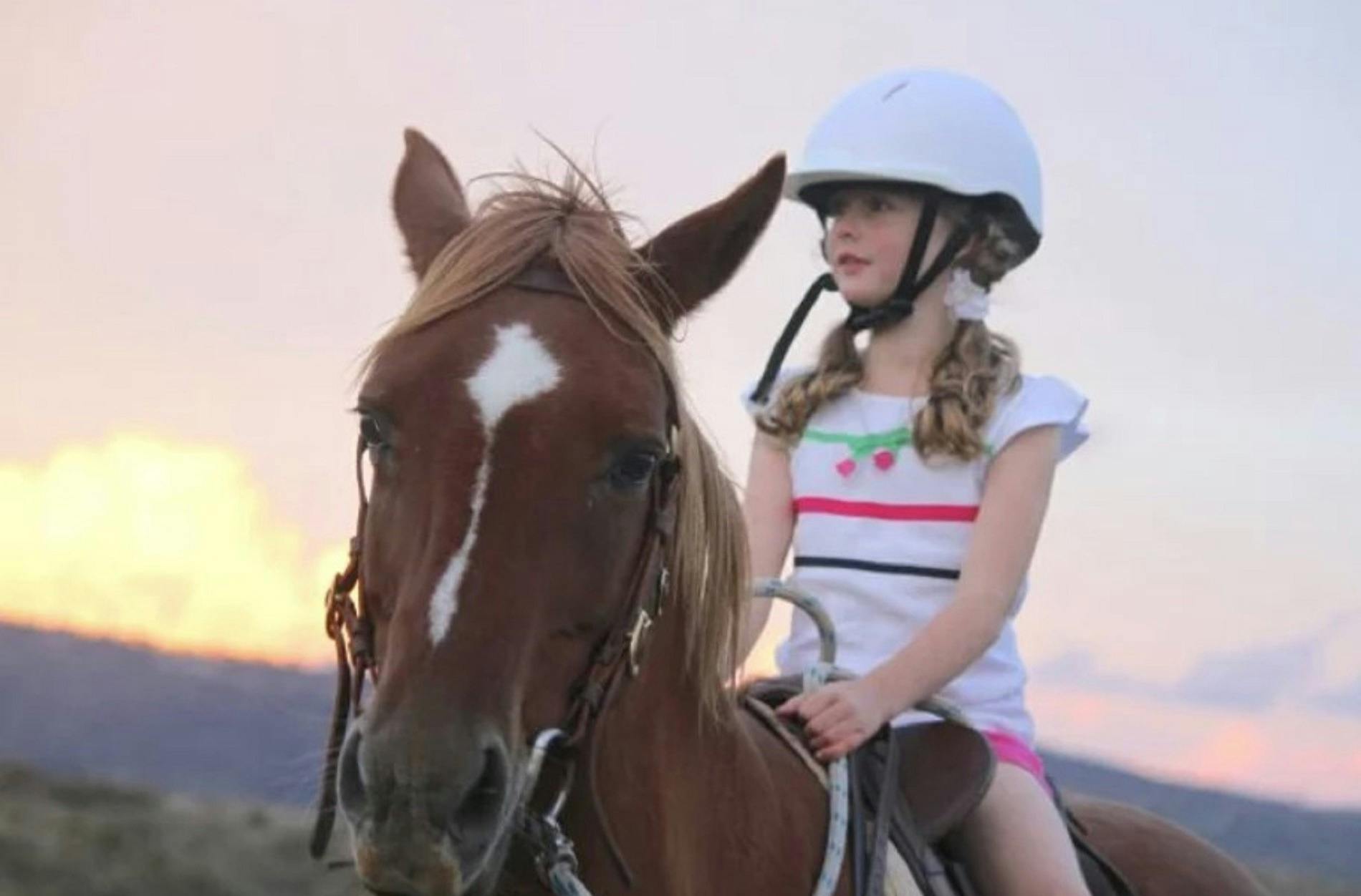 Pony Rides