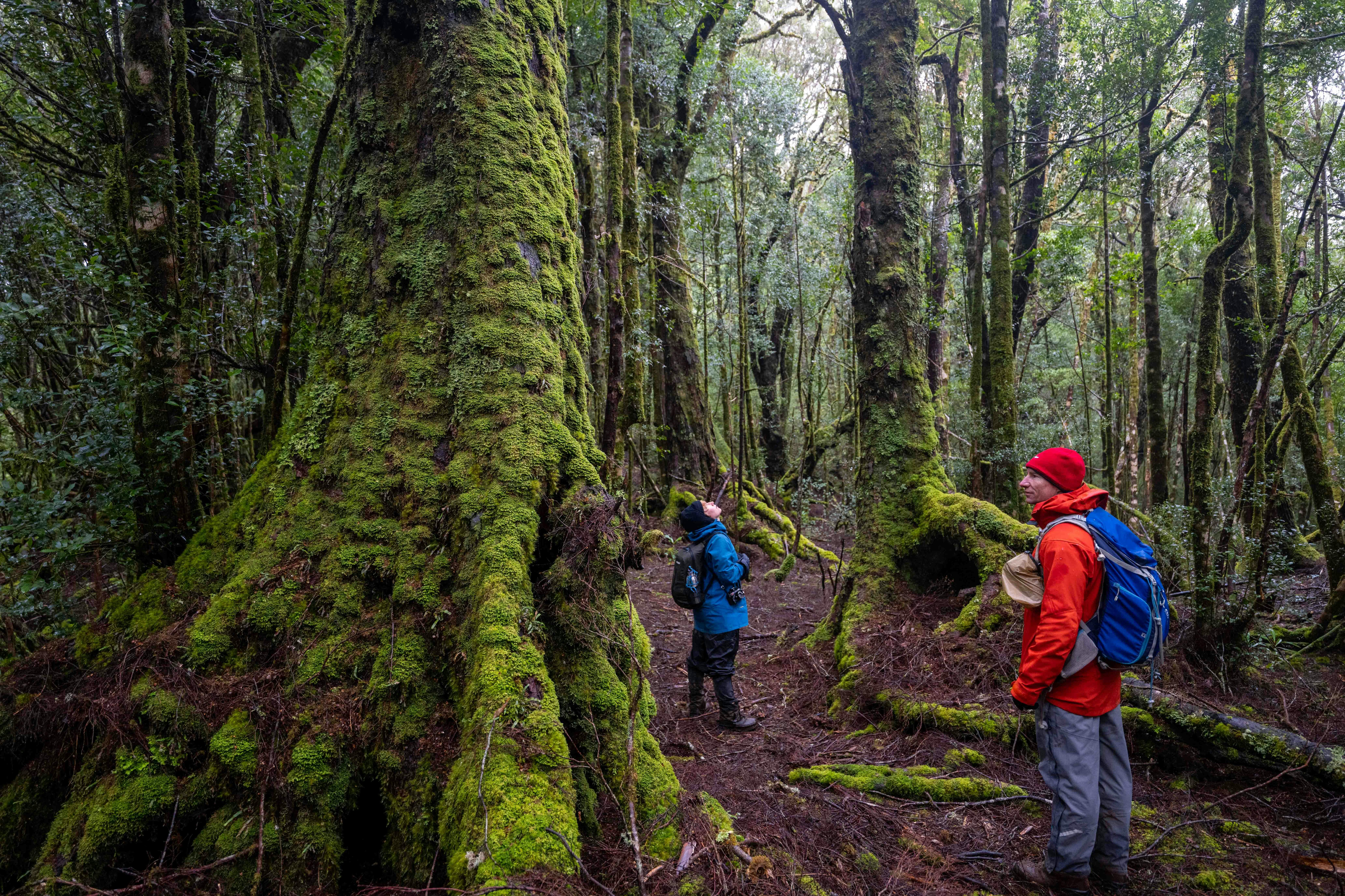 Tasmanian Photography Tours