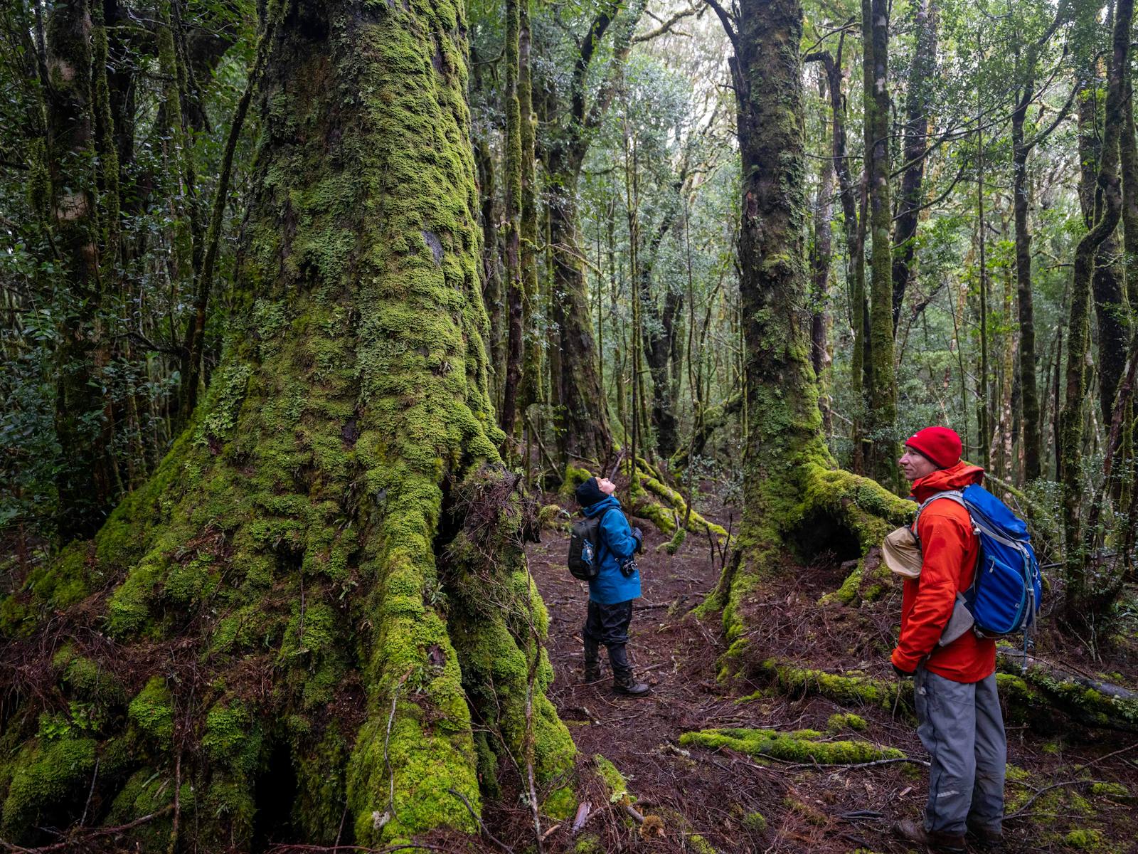 Tasmanian Photography Tours
