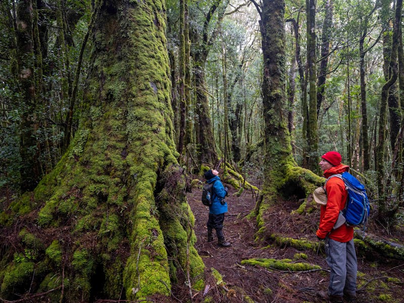 Tasmanian Photography Tours