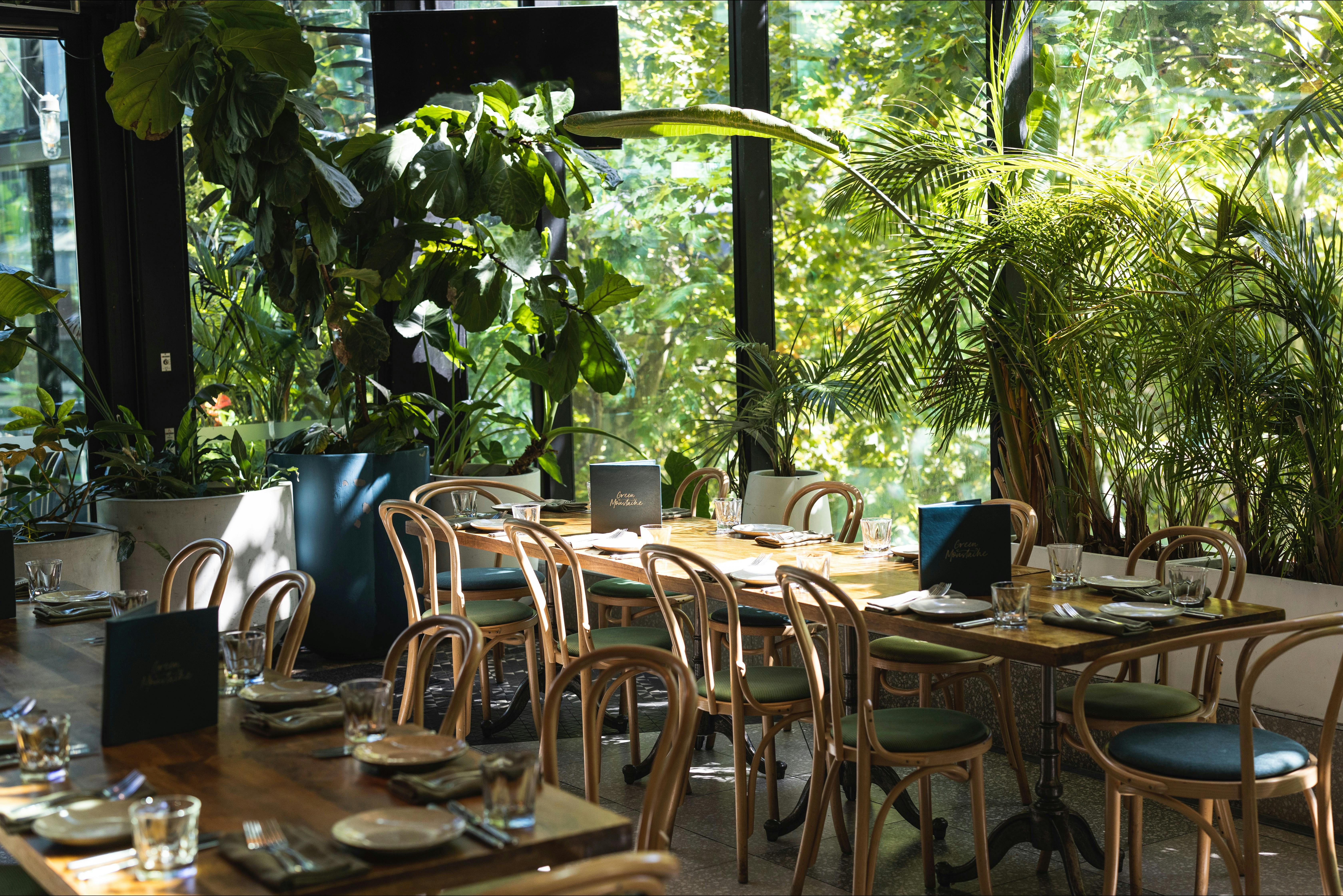Leafy restaurant at Green Moustache in North Sydney