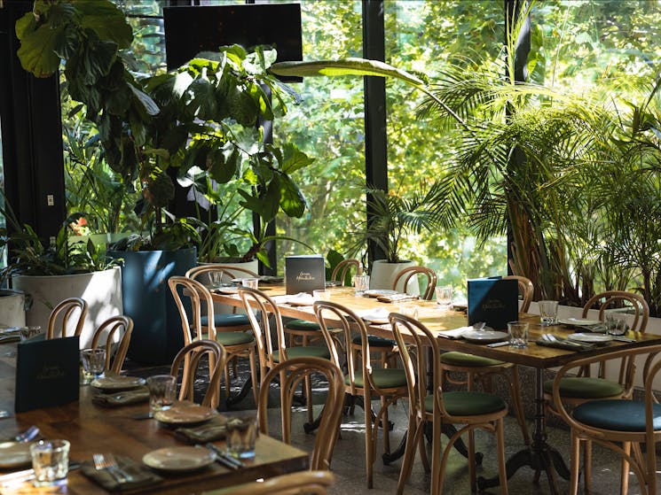 Leafy restaurant at Green Moustache in North Sydney