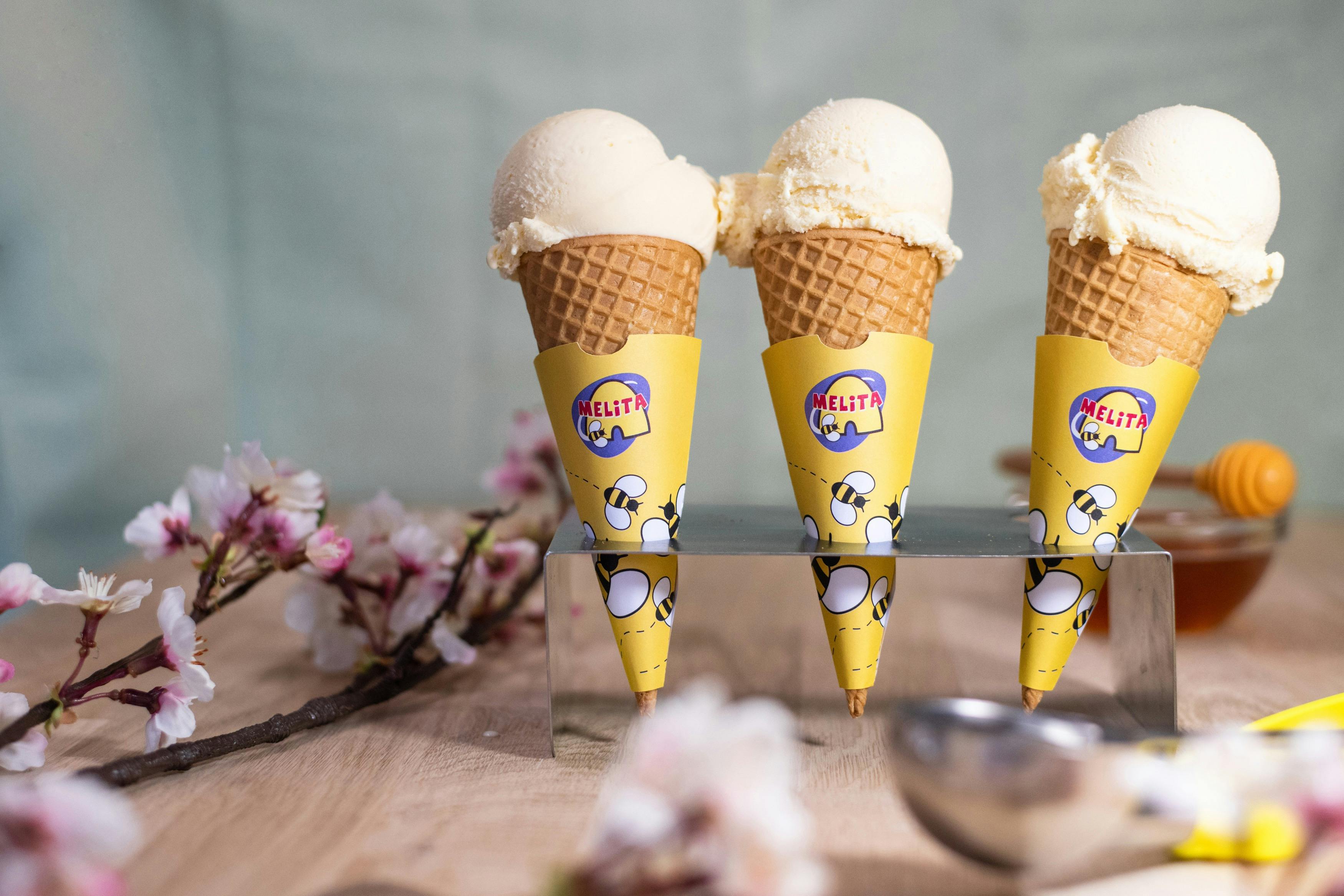 Honey Ice Cream
