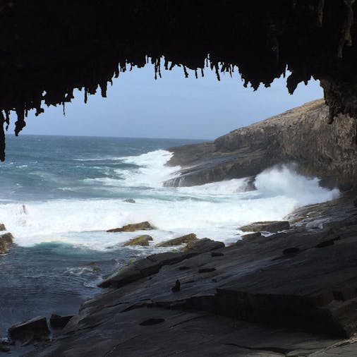 7 Day Flinders Ranges Kangaroo Island Odyssey