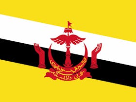 High Commission of Brunei Darussalam