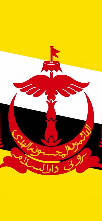 Flag of Brunei Darussalam