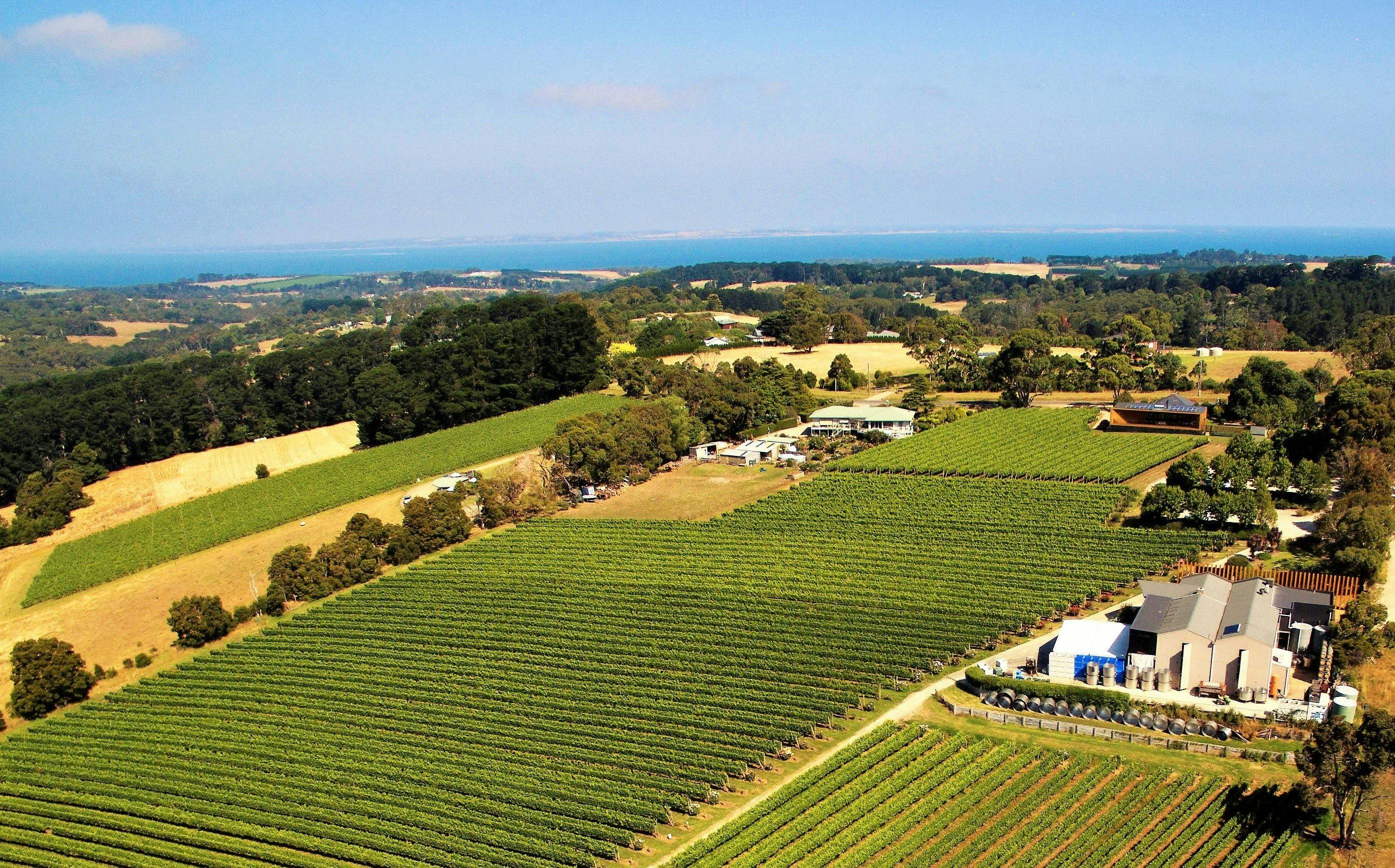 Paringa Estate Winery and Restaurant