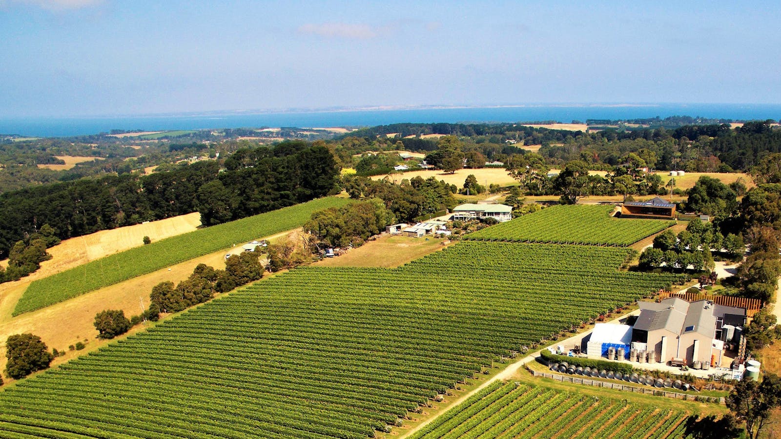 Paringa Estate Winery and Restaurant