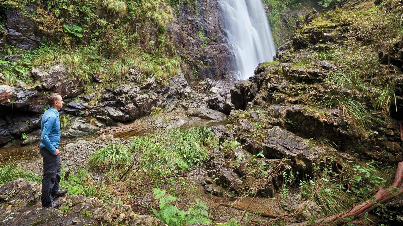 Red Cedar Falls Walking Track