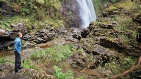 Red Cedar Falls Walking Track