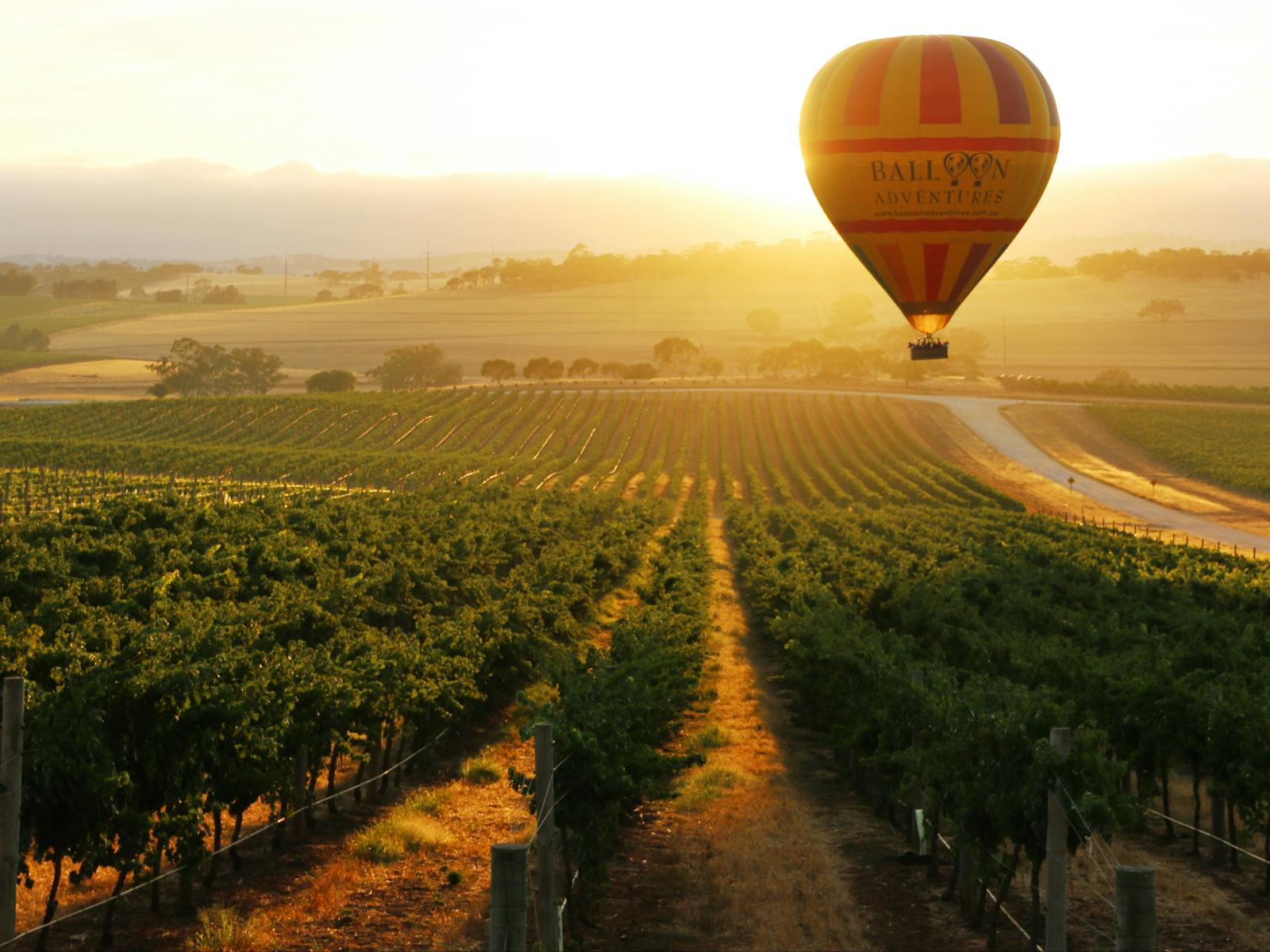 Ballooning in the Barossa