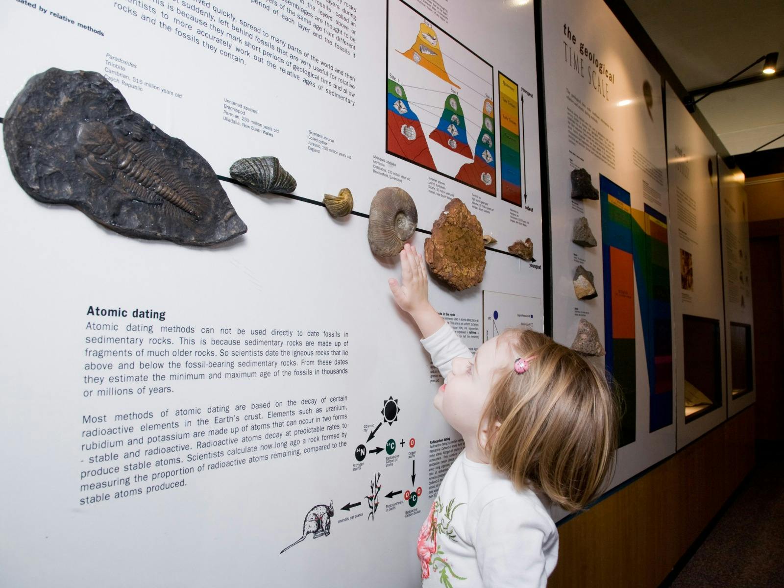 물고기 시대 박물관 카노윈드라