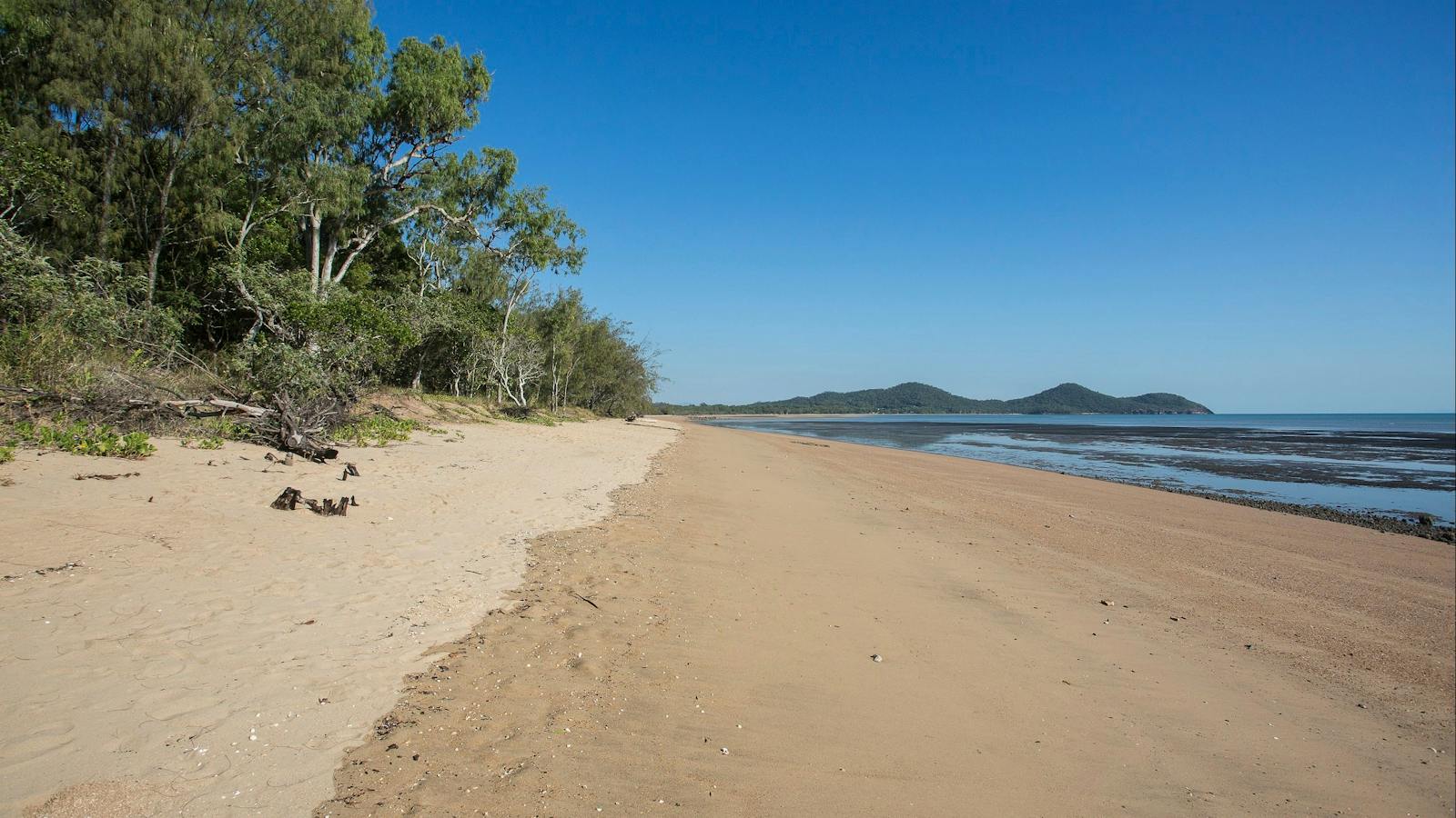 A Low Tide Fishing Adventure