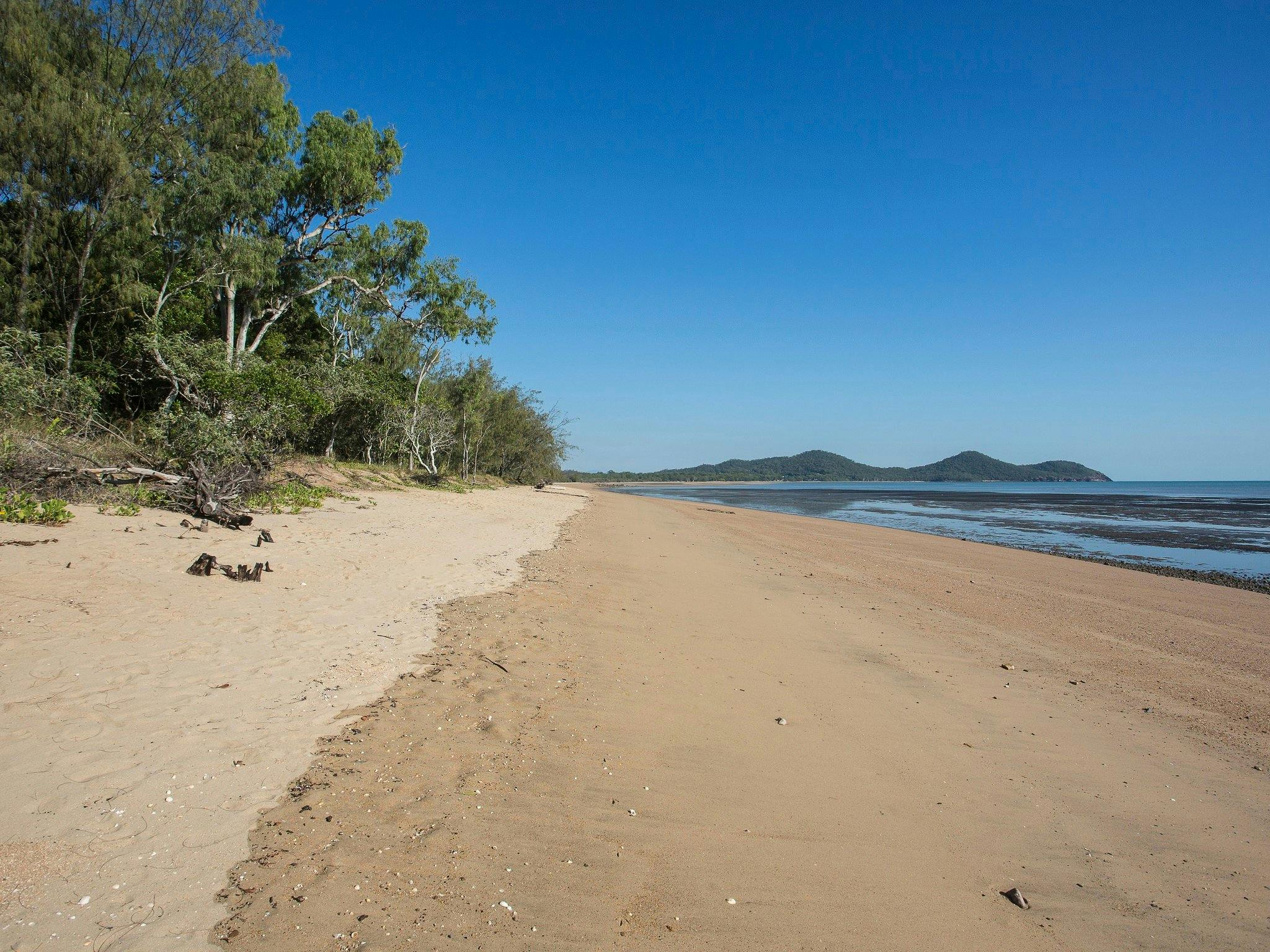 A Low Tide Fishing Adventure A Low Tide Fishing Adventure