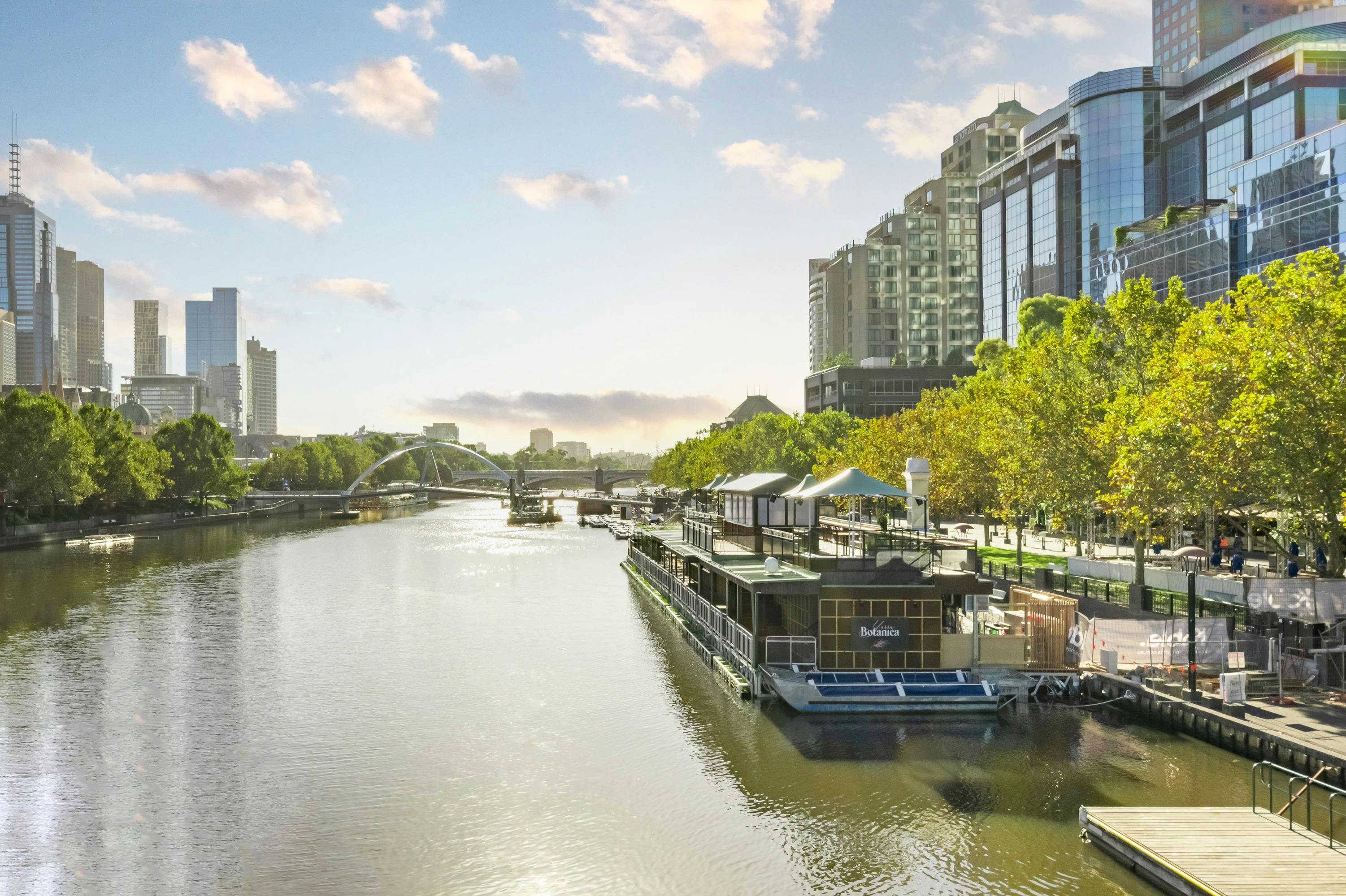 Yarra botanica - view from the bridge