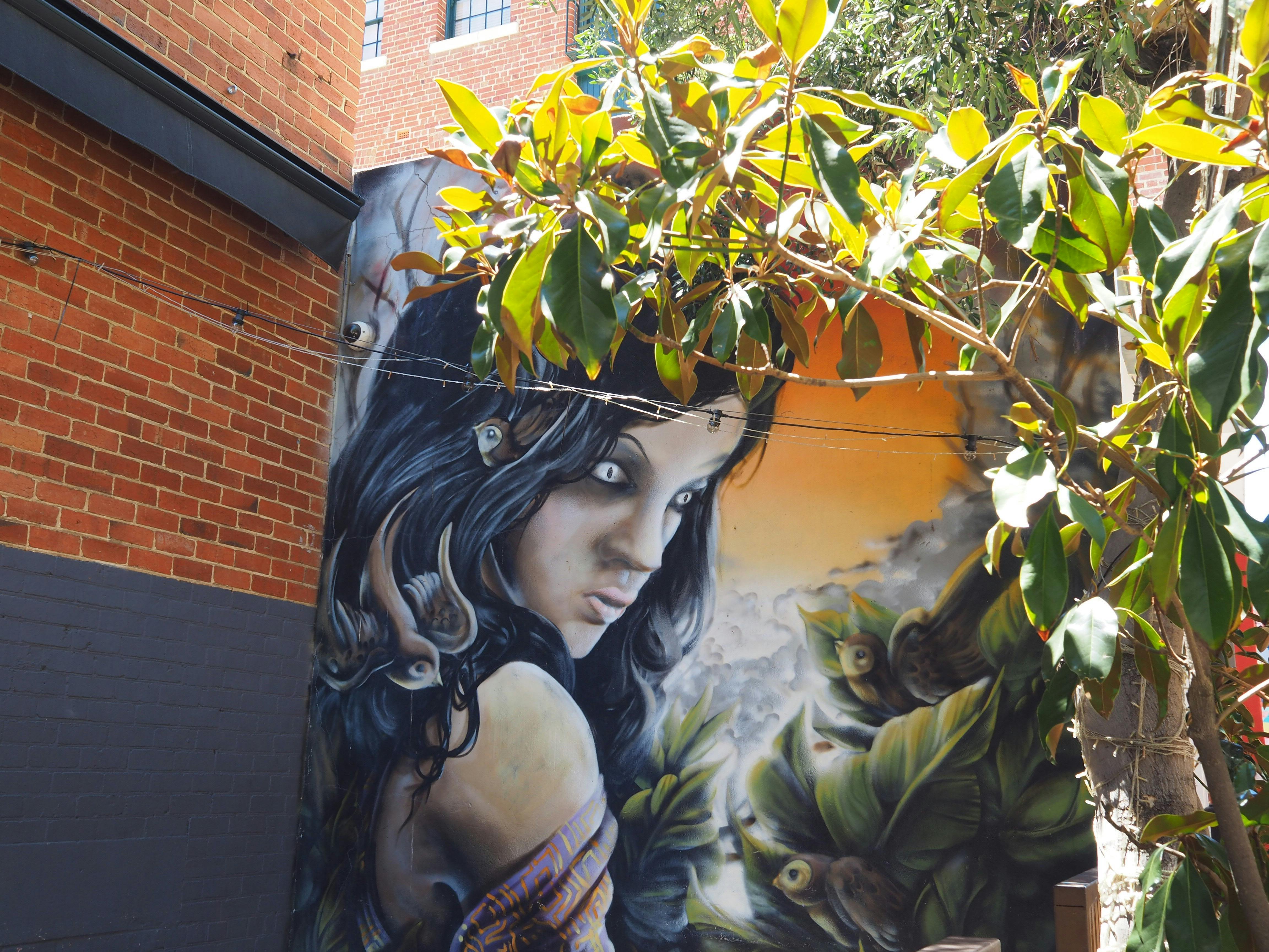 large wall mural of lady with long black hair and scary eyes!