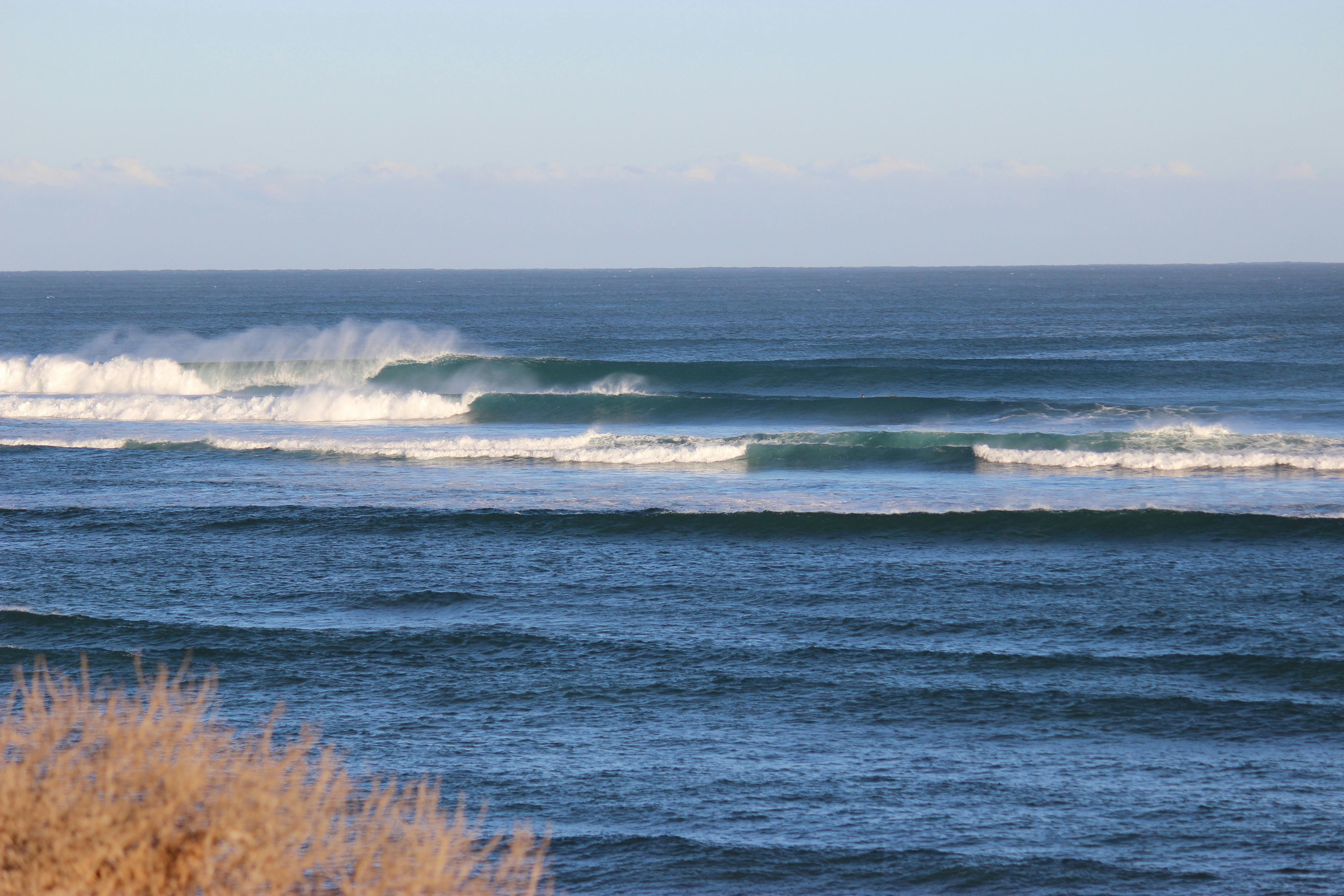 DACA Tours, Laverton, Western Australia