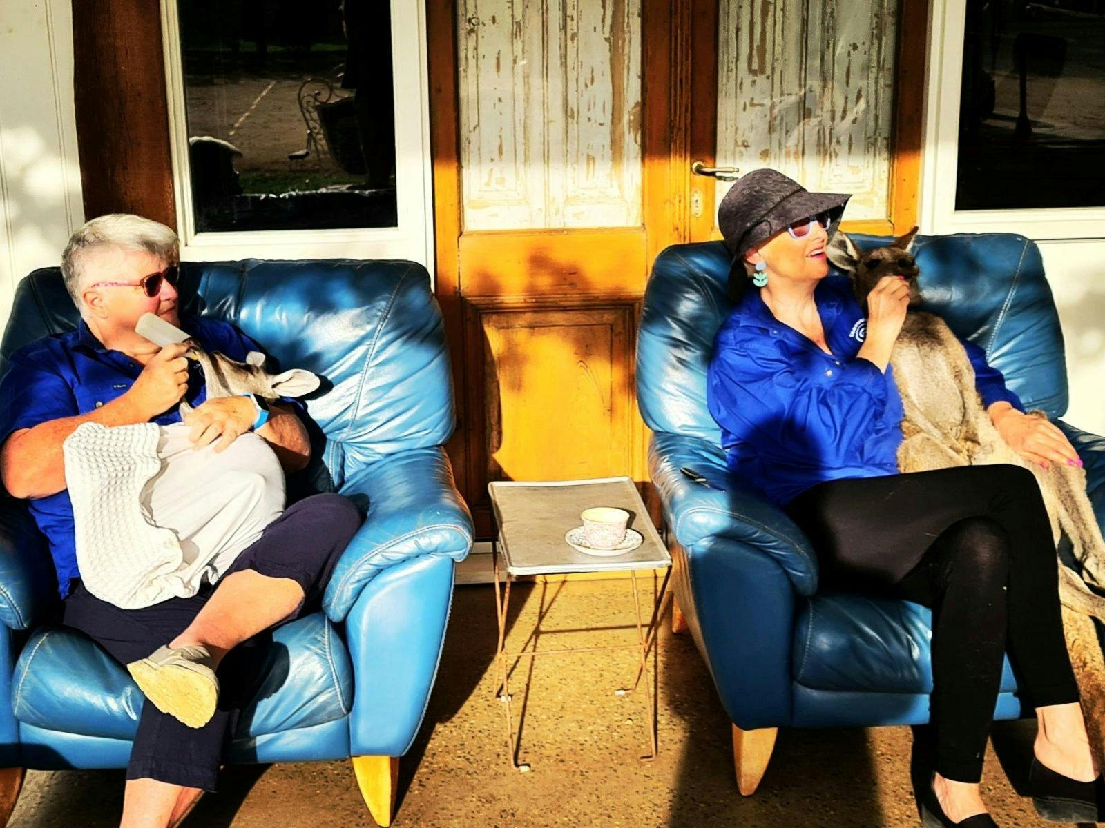 Dinner time for the orphan kangaroos Corynnia Station Carrathool