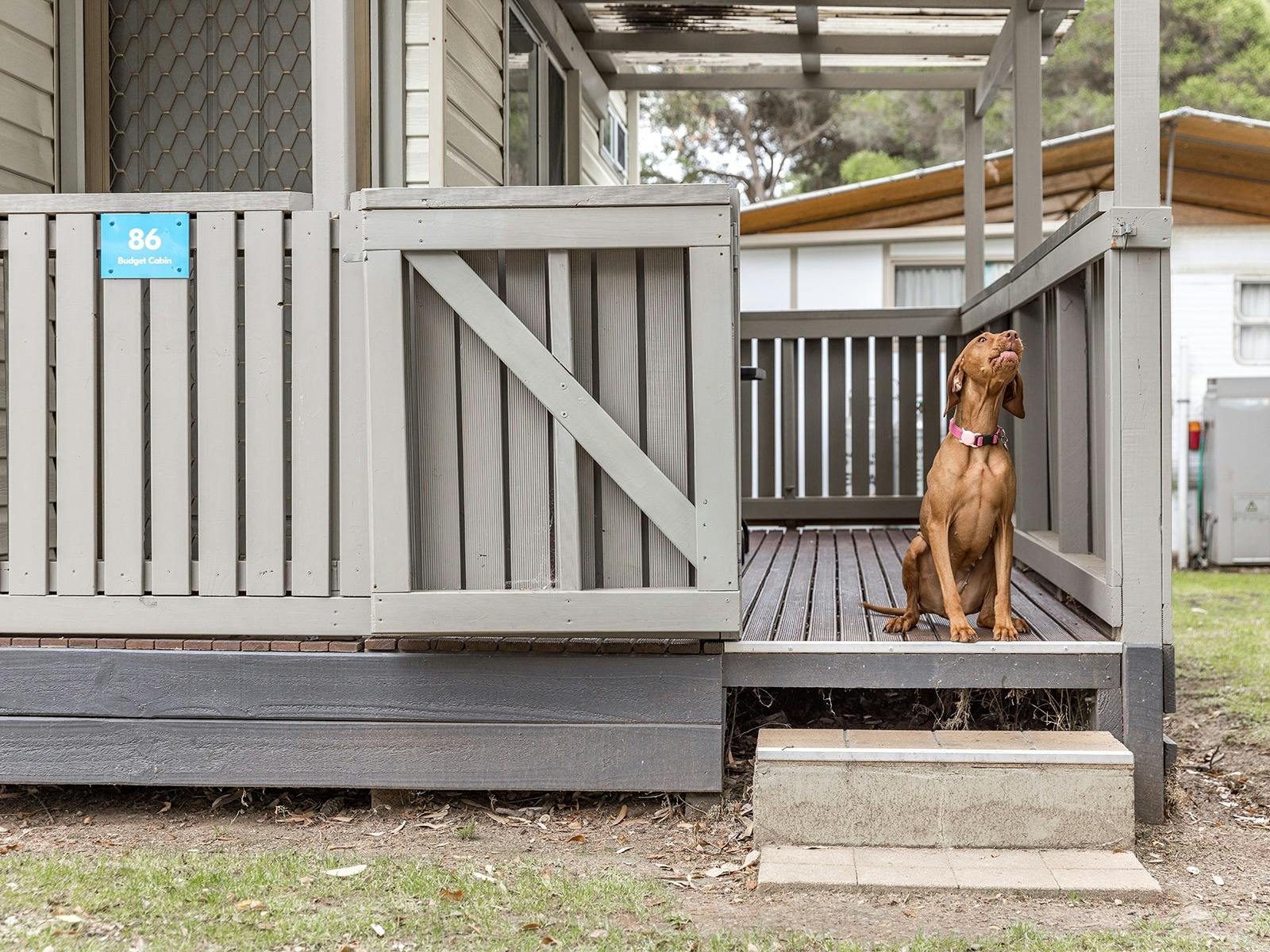 Ibis cabin - pet friendly